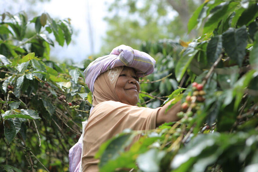 Celebrating 21 years of Fairtrade commitment