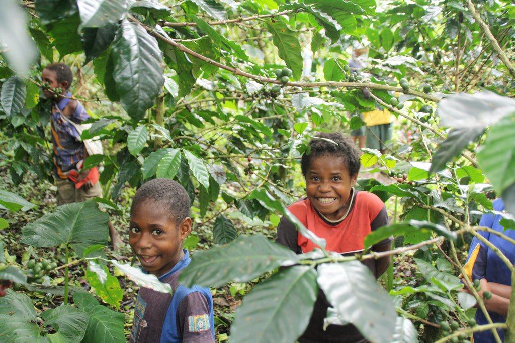 Does buying Fairtrade really help vulnerable children?